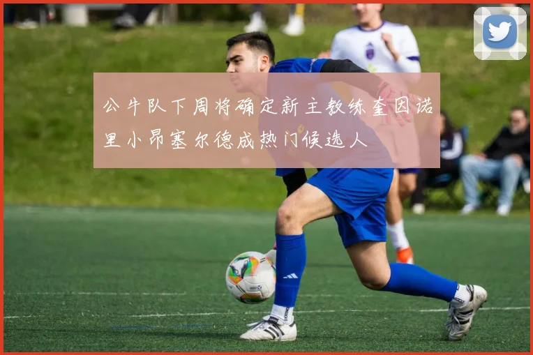 公牛队下周将确定新主教练奎因诺里小昂塞尔德成热门候选人